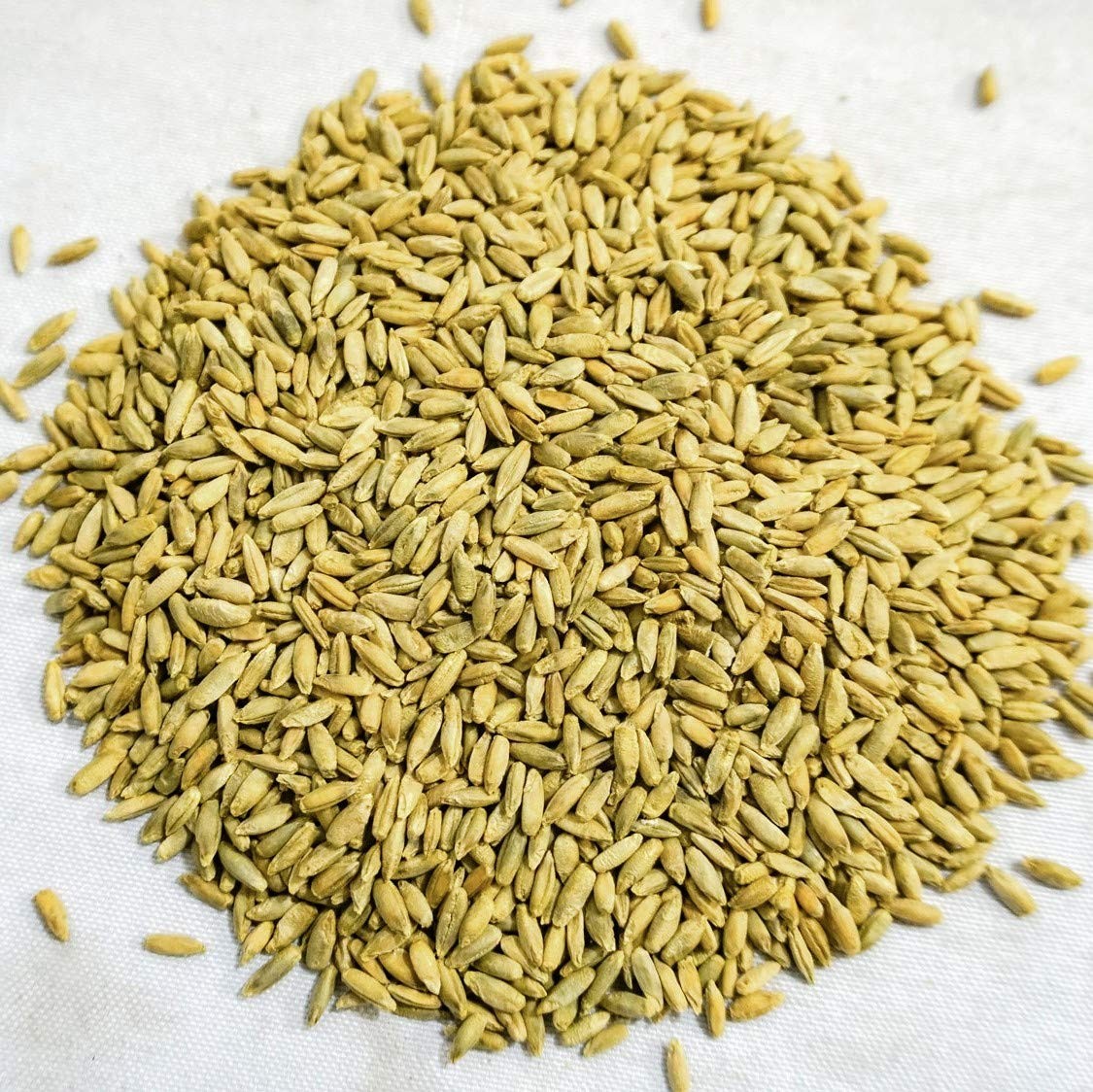 Organic Winter Rye Seeds Non-GMO – 3 lb for Planting and Soil Health