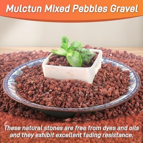 45Lb Lava Rock for Succulents & Cacti – Volcanic Soil Amendment, Drainage & Deco