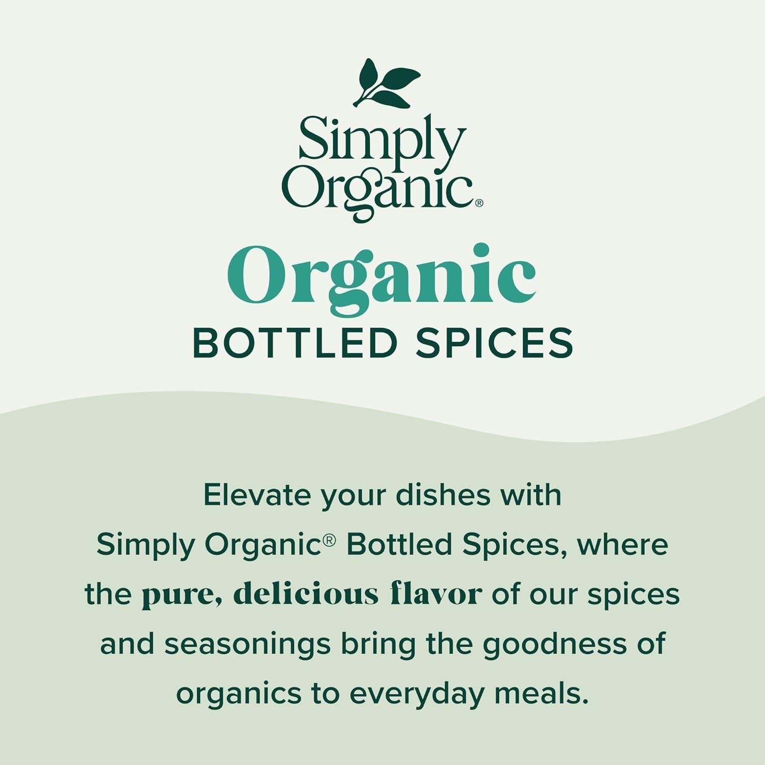High-Quality Organic Dried Cilantro – 0.78 oz, Hand-selected & Non-Irradiated