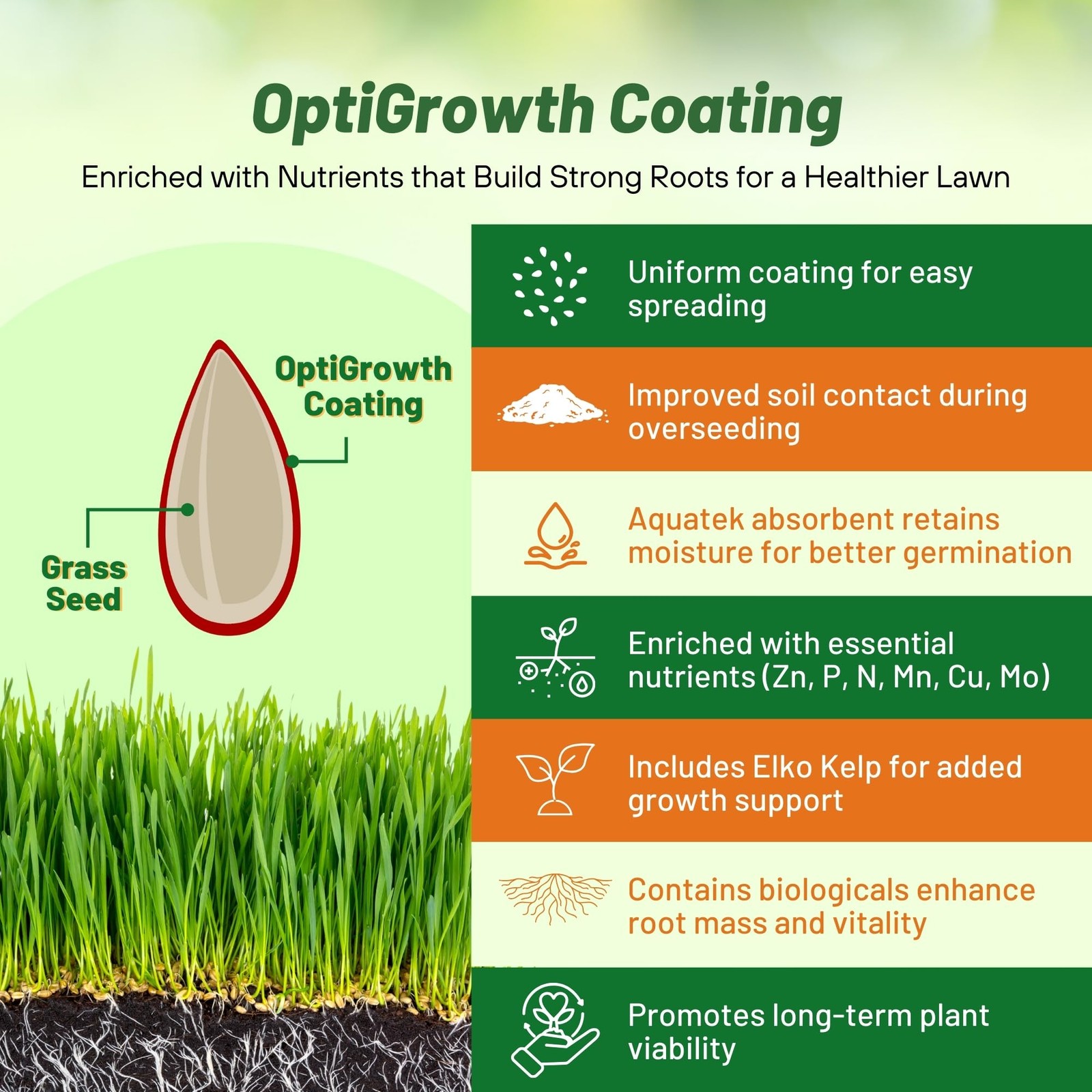 Creeping Red Fescue Grass – 5 Lbs. Cool Season, Soft Textured, -Repairing Fin…