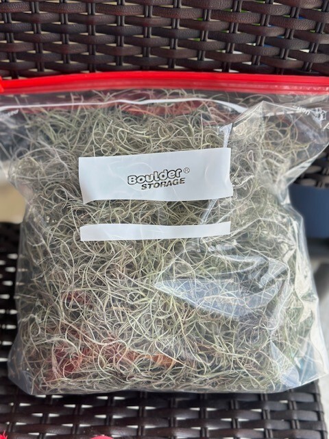 Fresh Live Spanish Moss Florida 1 Gallon Air Plant Crafts Decor Accent Tropical
