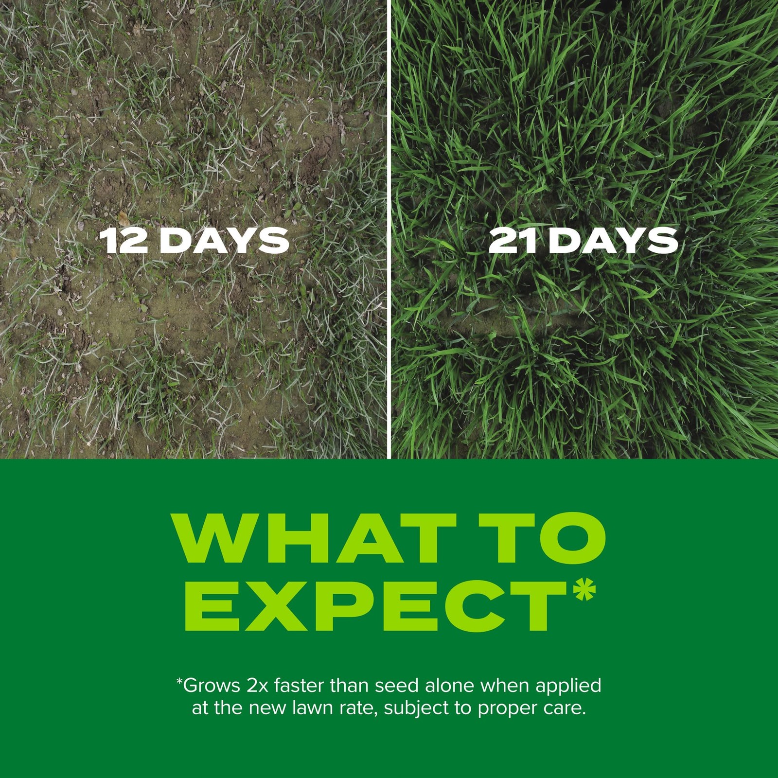 Scotts Turf Builder Rapid Grass Sun And Shade Mix Combination Seed And