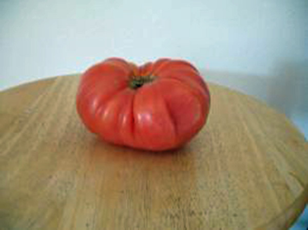 TOMATO, RED PONDEROSA, HEIRLOOM, GROWN 25+ SEEDS