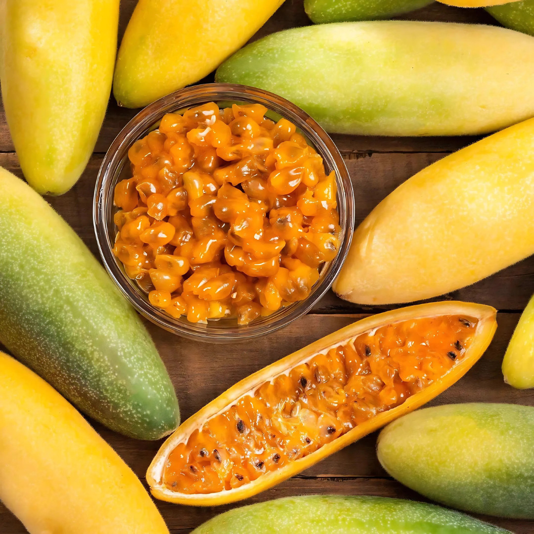 Fresh Premium Banana Passion Fruit Seeds | Heirloom | Non-GMO | Fruit Seeds