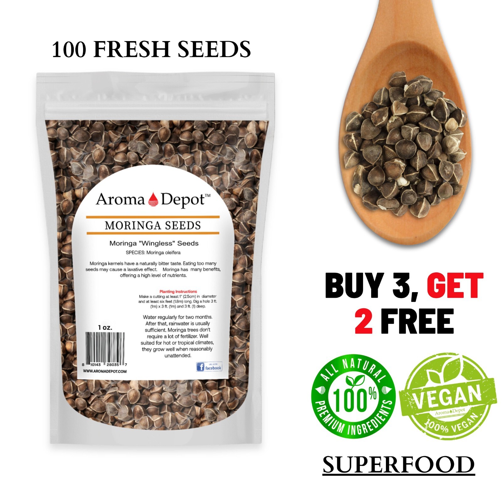Moringa Seeds 1 oz. Wingless Semillas de Moringa Pepa oleifera Approx. 100 Seeds