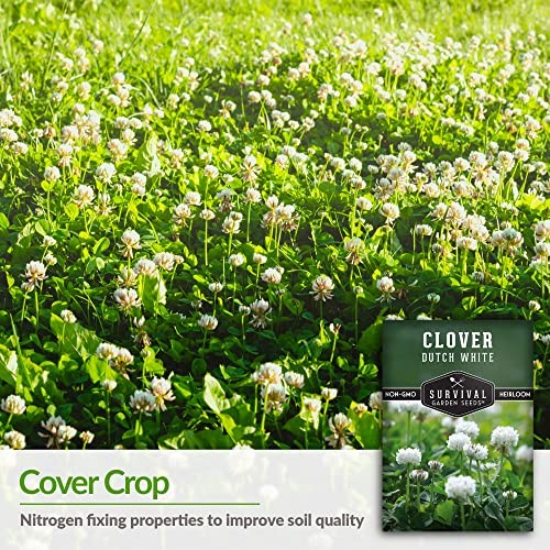 Pack Dutch White Clover Seeds for Planting – with Instructions to Grow White 1