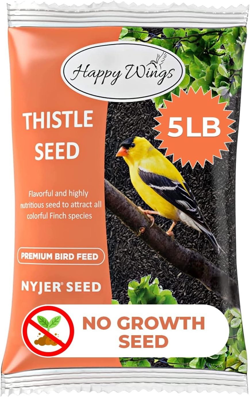 High-Quality Nyjer Seed for Birds – 5lb No Grow Seed, Perfect for Tube Feeders