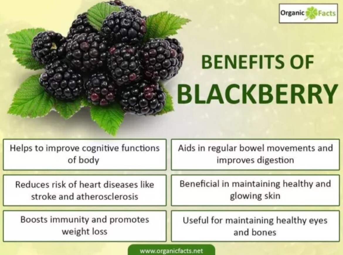 Blackberry Seeds Homegrown Edible Garden Berry Bush Organic Fruit NonGMO TX USA