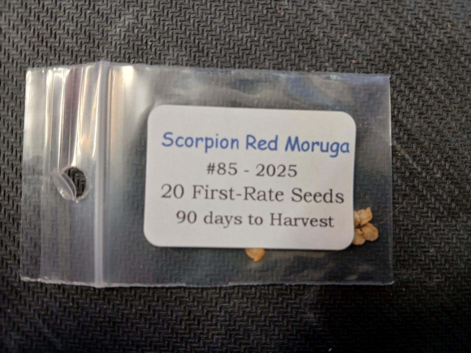 15 Newly Harvested Super-Hot Trinidad Scorpion Red Moruga Pepper Seeds-A 66
