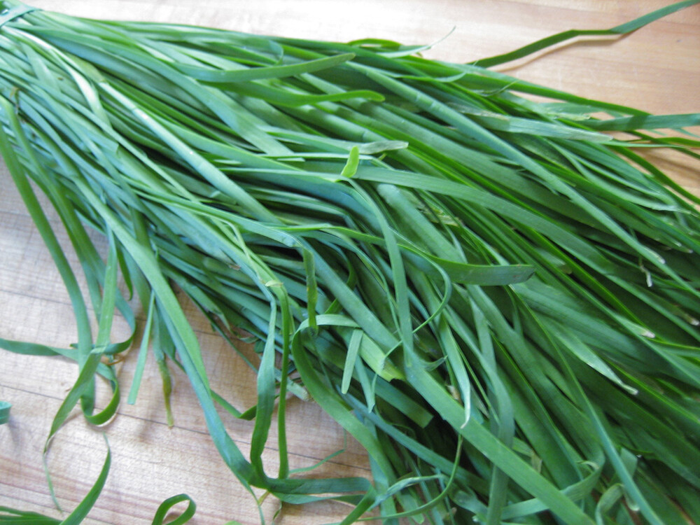 250+Garlic Chives Seeds(Allium tuberosum) Chinese Chives Jiu cai Vegetable USA