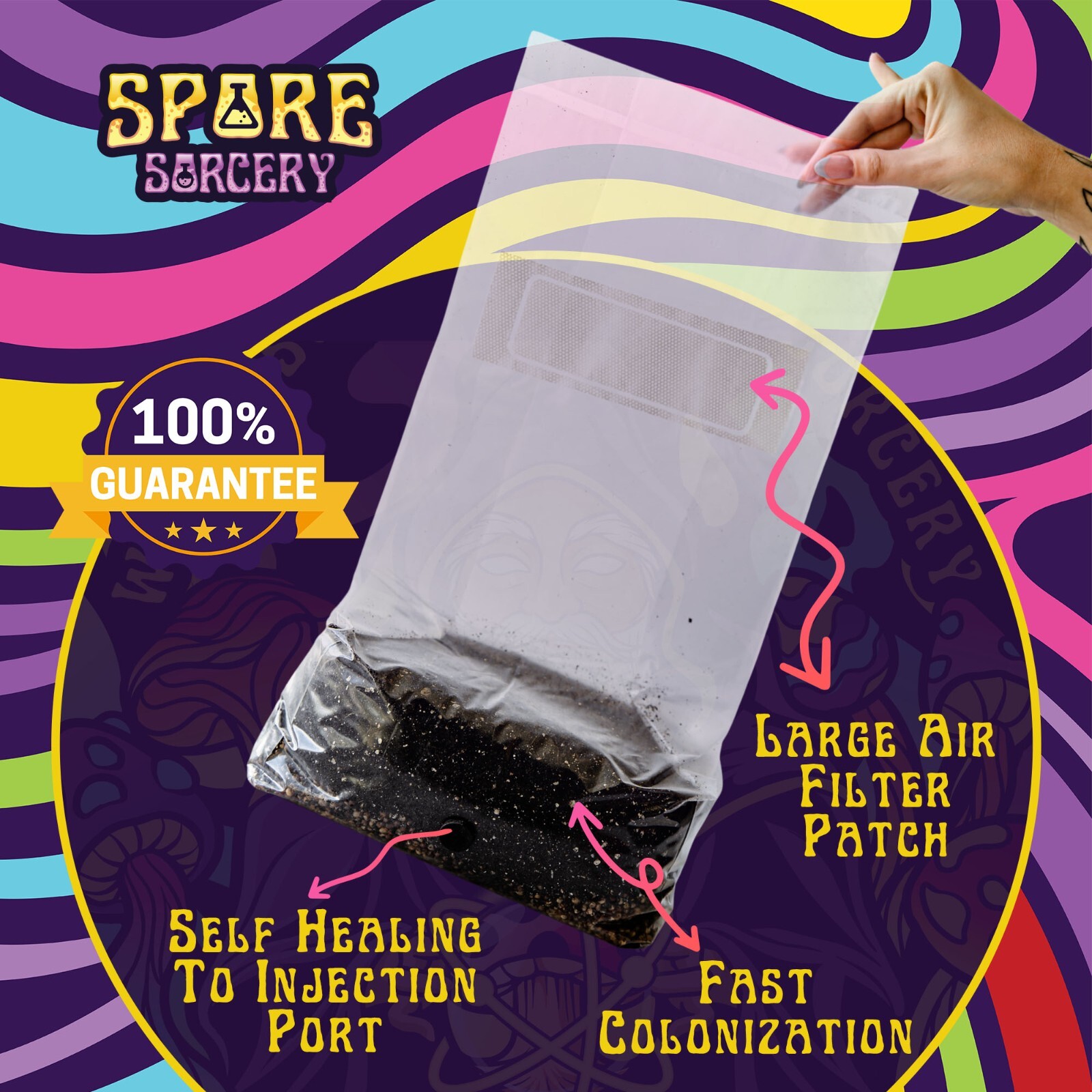 3 Pack | 4LB All-In-One Mushroom Grow Kit | Mushroom Grow Bag