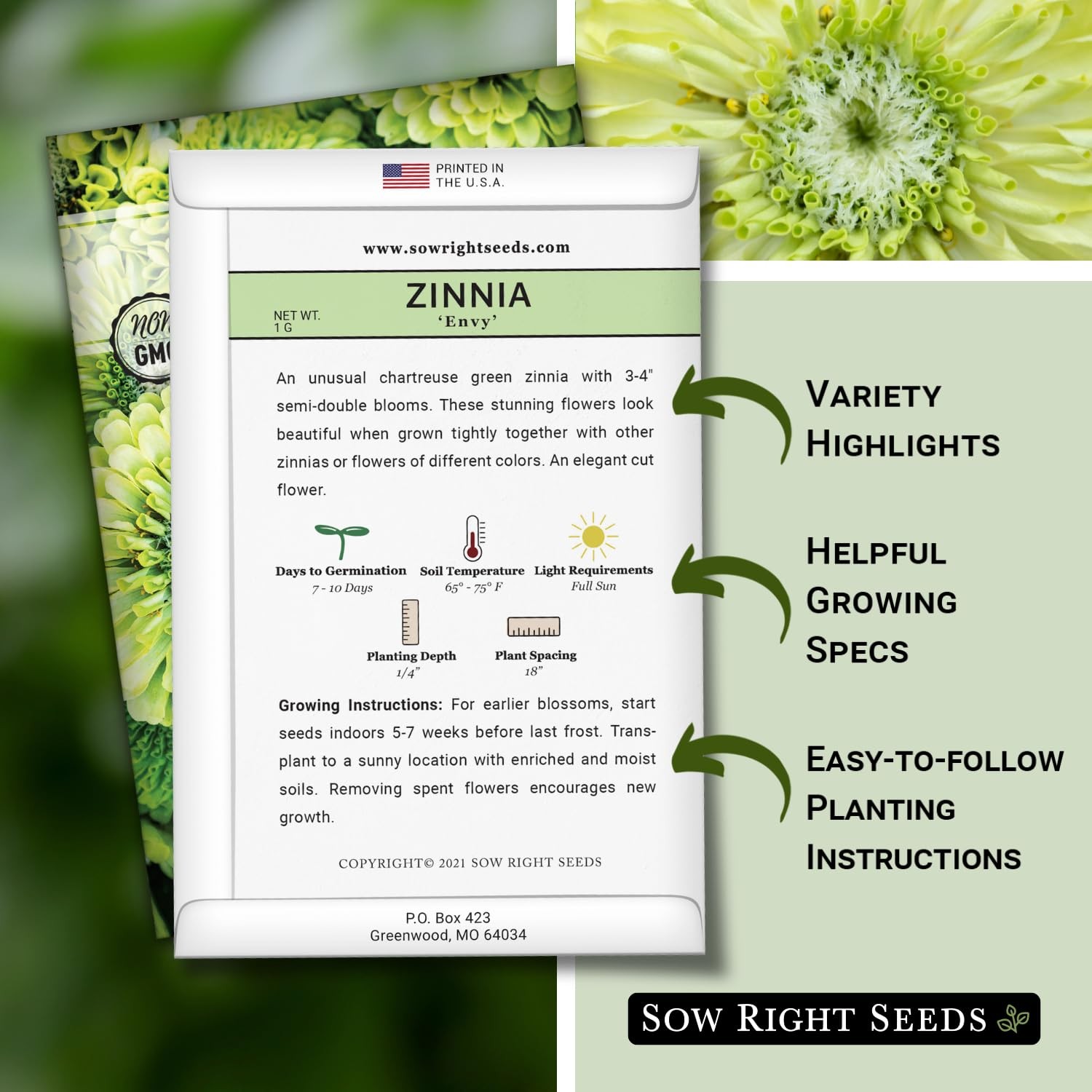 Zinnia Envy Flower Seeds – Non-GMO, Heirloom, Chartreuse – Attract Pollinators