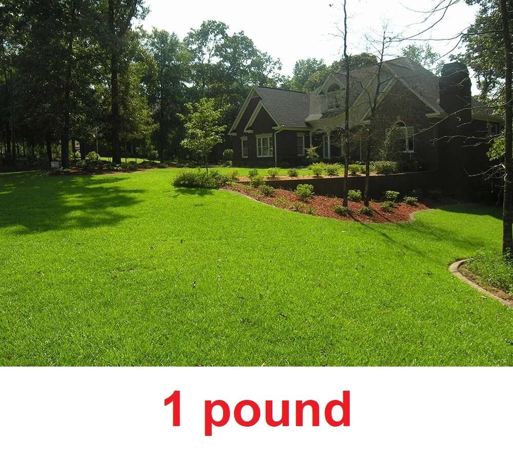 Centipede Grass Seed – 1 Lb.
