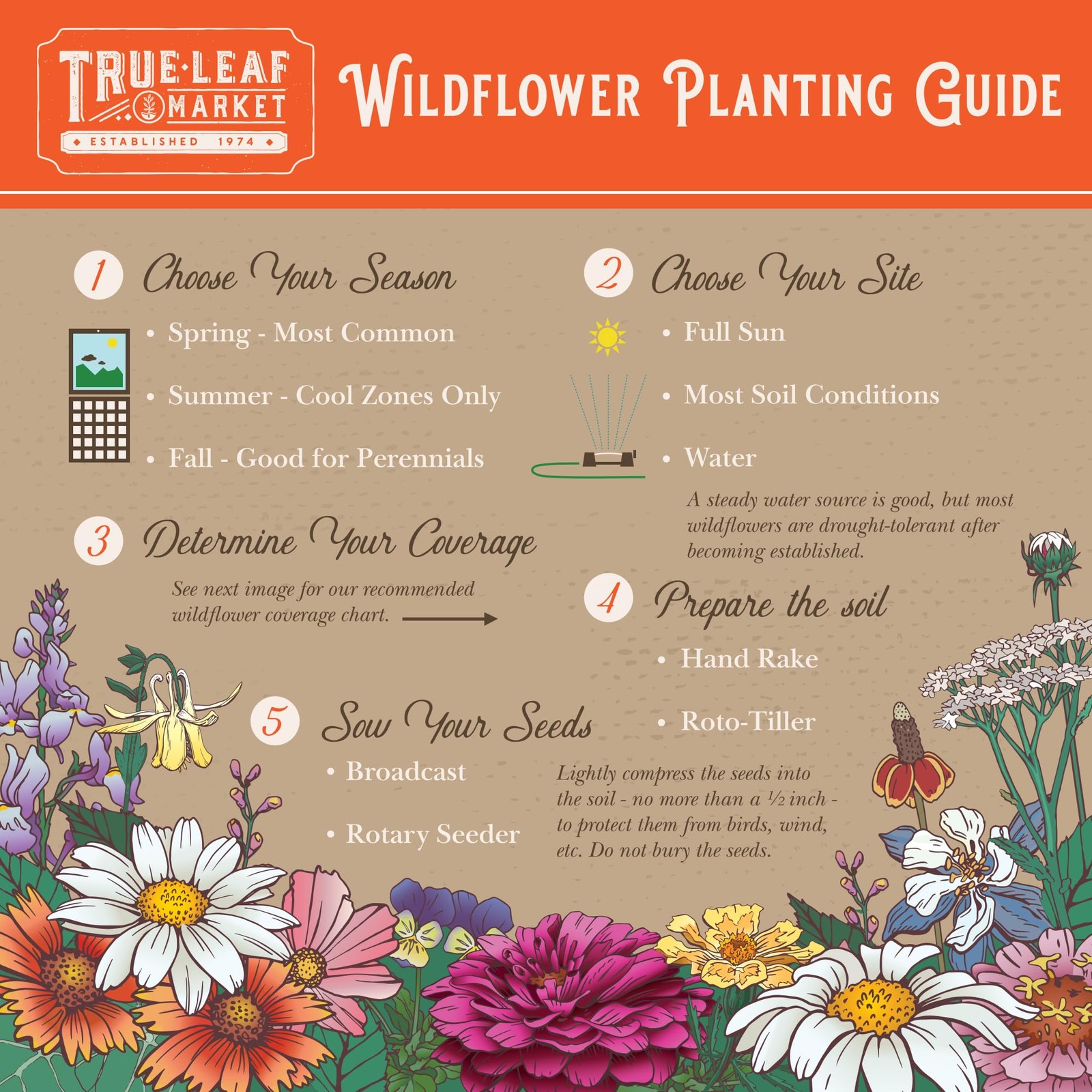 Rocky Mountain Wildflower Seed Mix 1 Lb Easy Grow Perennial And Annual Seeds