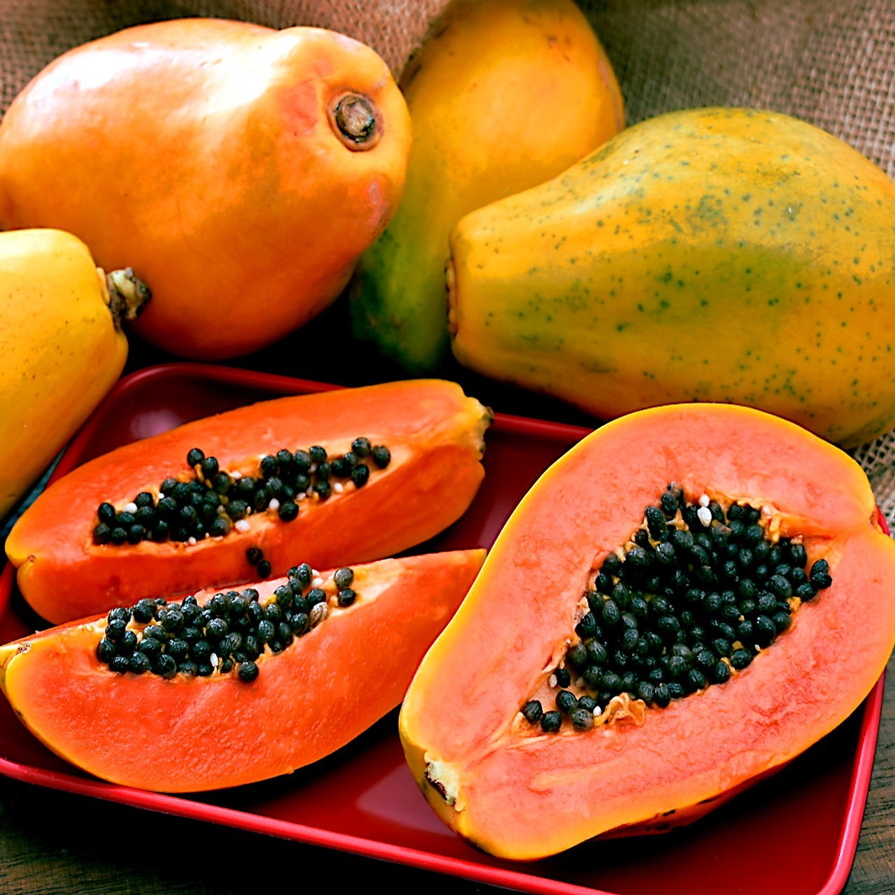 20 Dwarf Hawaiian Solo Sunrise Papaya Seeds Carica Melon Rare NON GMO Fruit Tree