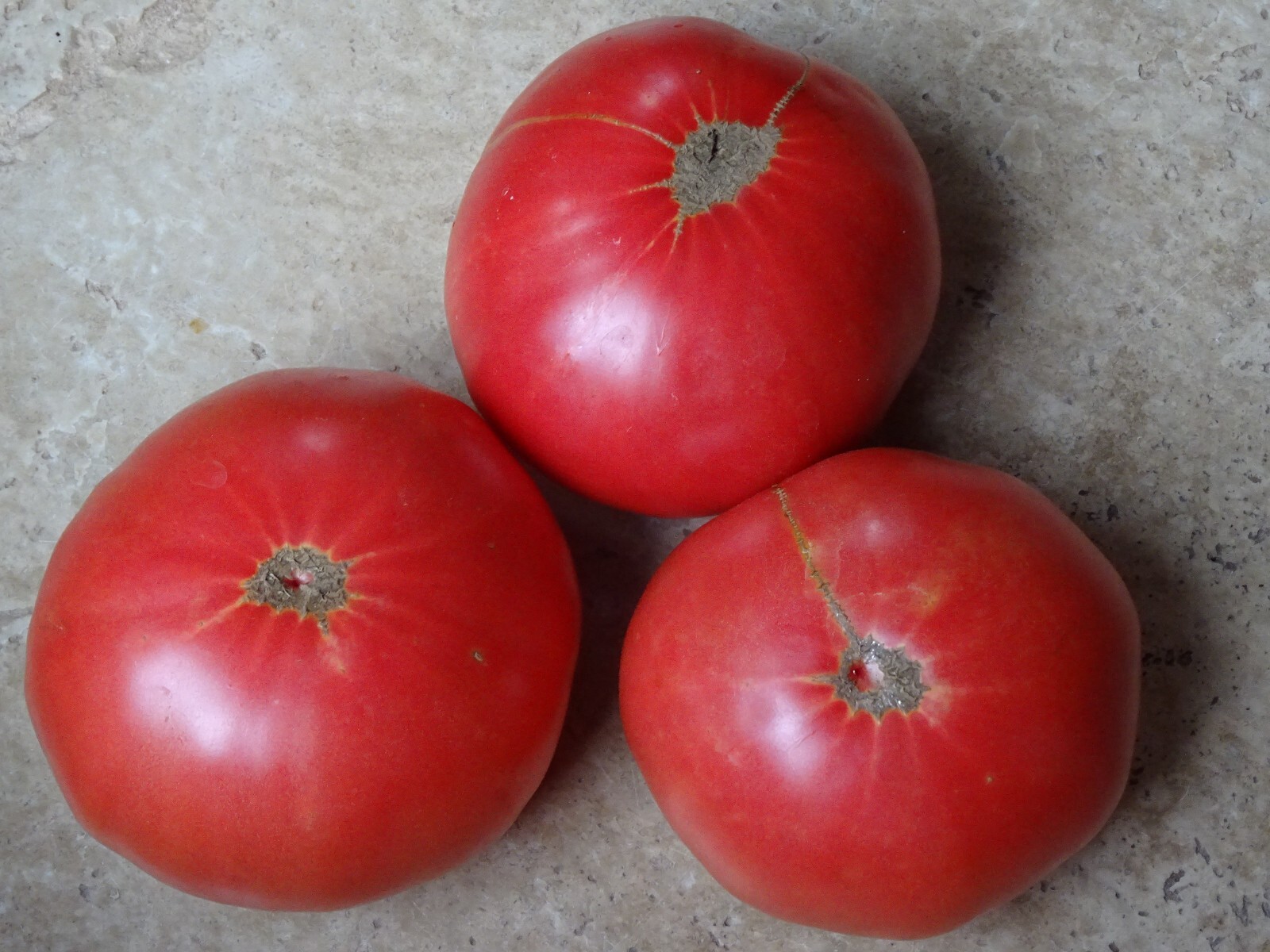 Soldacki Pink Tasty Tomato Heirloom 20 seeds Beefsteak Non-GMO Organic from 2024