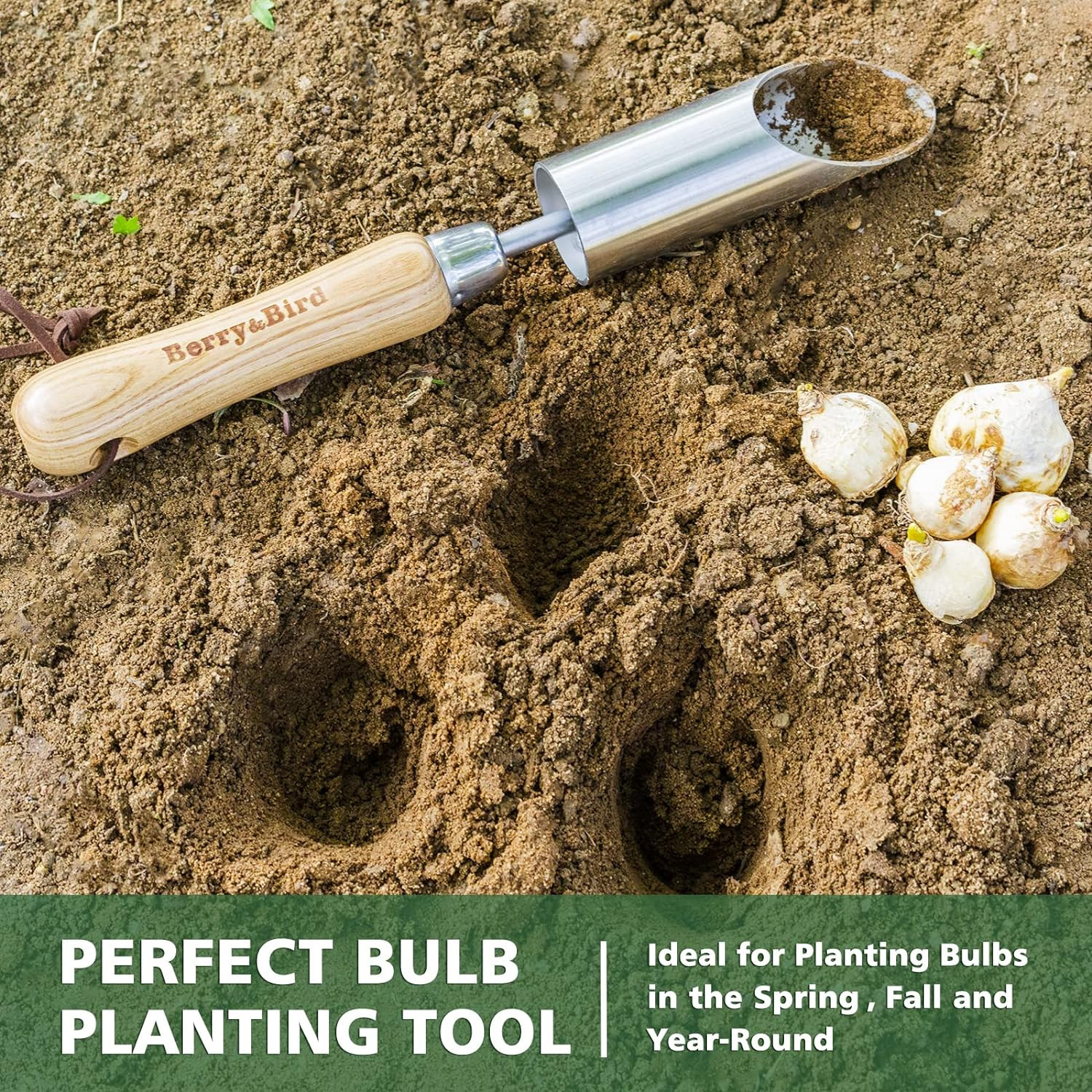 Bulb Planter Tool, 12″ Garden Bulb Transplanter Tool, Stainless Steel Manual Hol