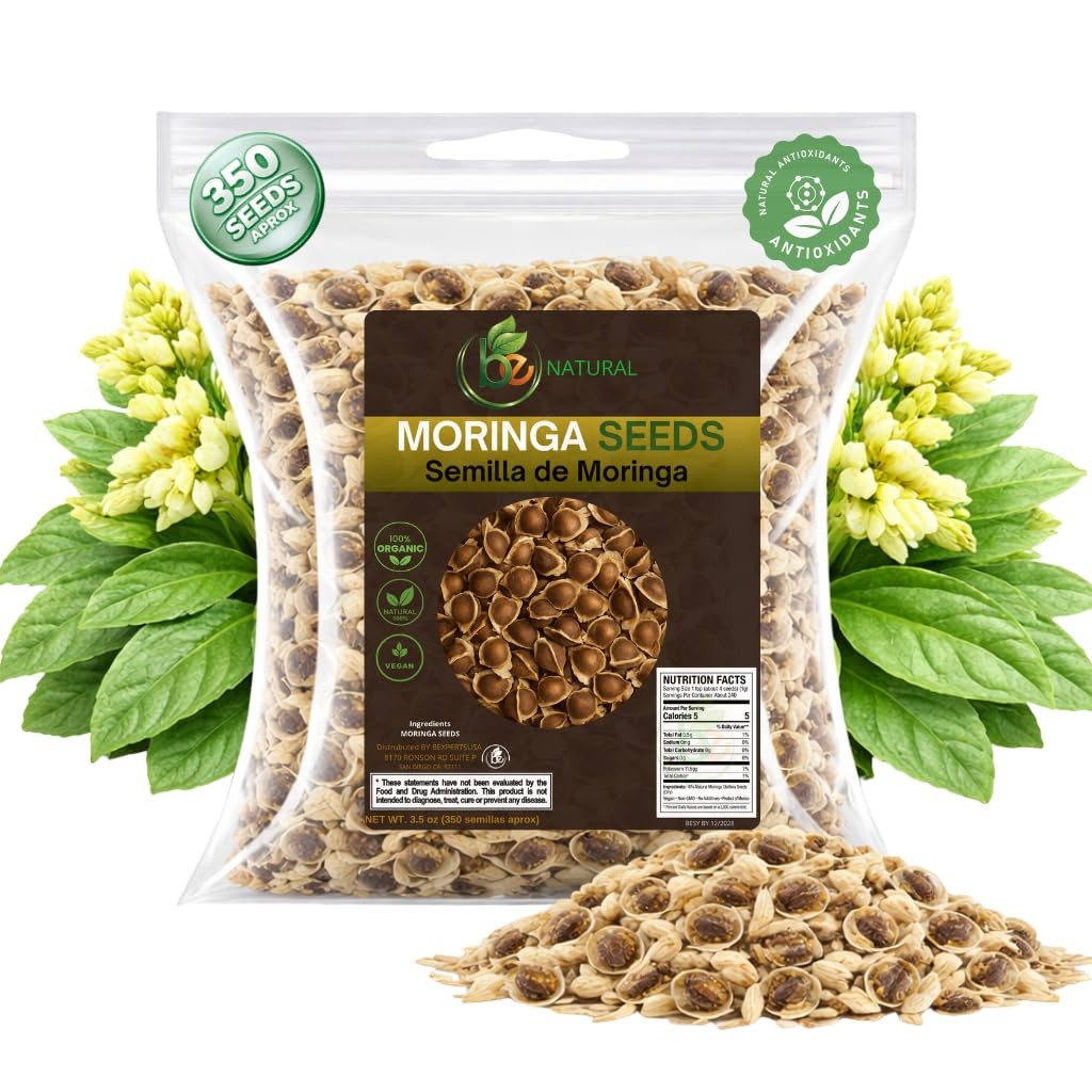 Moringa Seeds (Semillas) – 3.5 oz (Approx. 350 + Seeds) – Premium Moringa Ole…