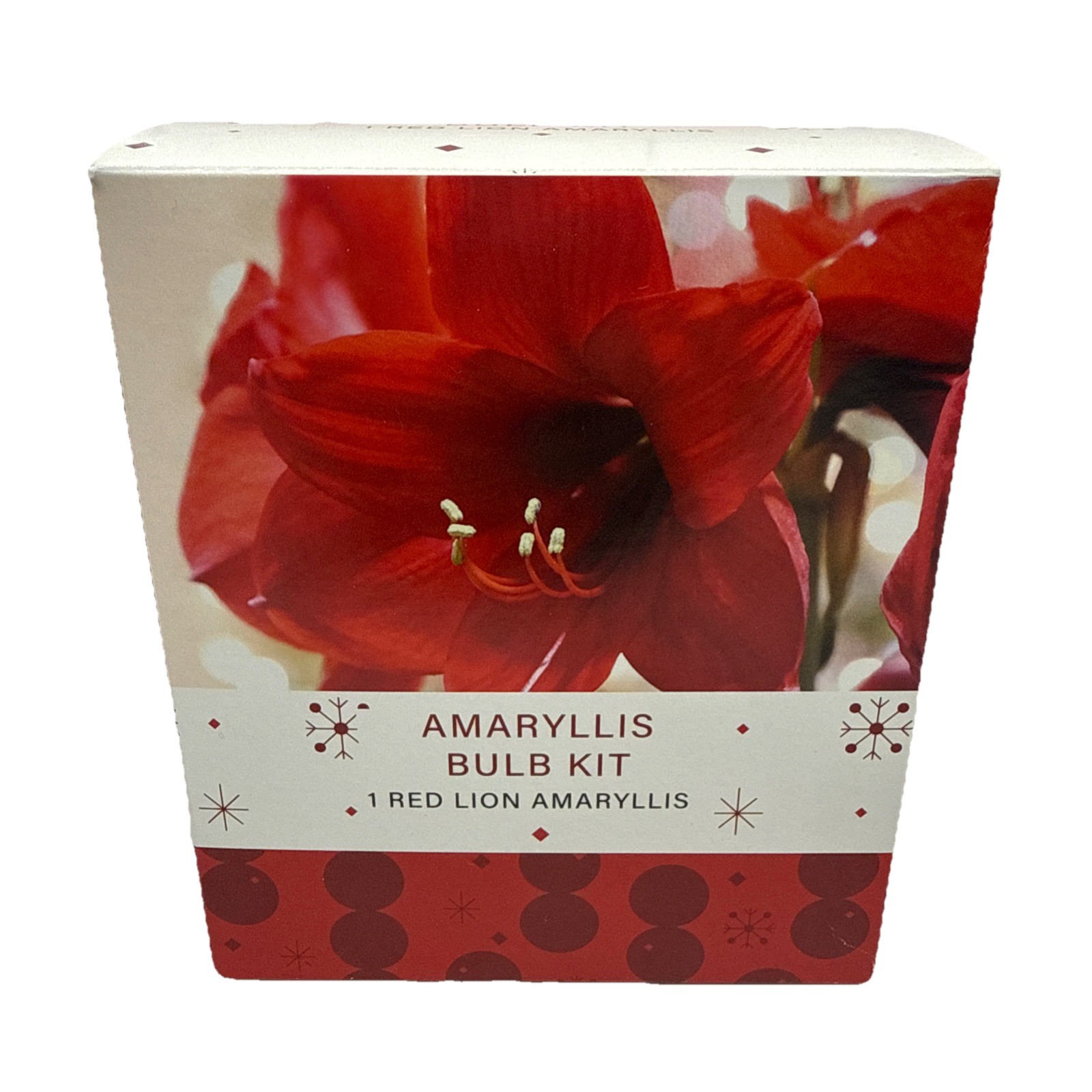 Indoor Amaryllis Bulb Kit – 1 Red Lion Bulb (Deep Red), Planter, Growing Medium