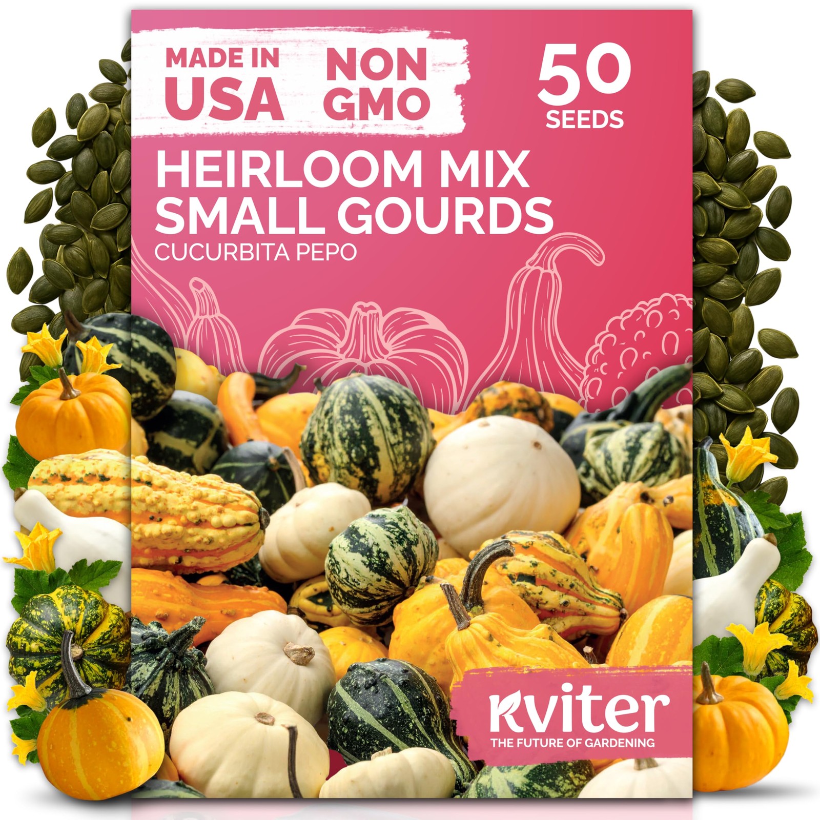 KVITER 50 Small Gourd Seeds Mix (Cucurbita pepo)