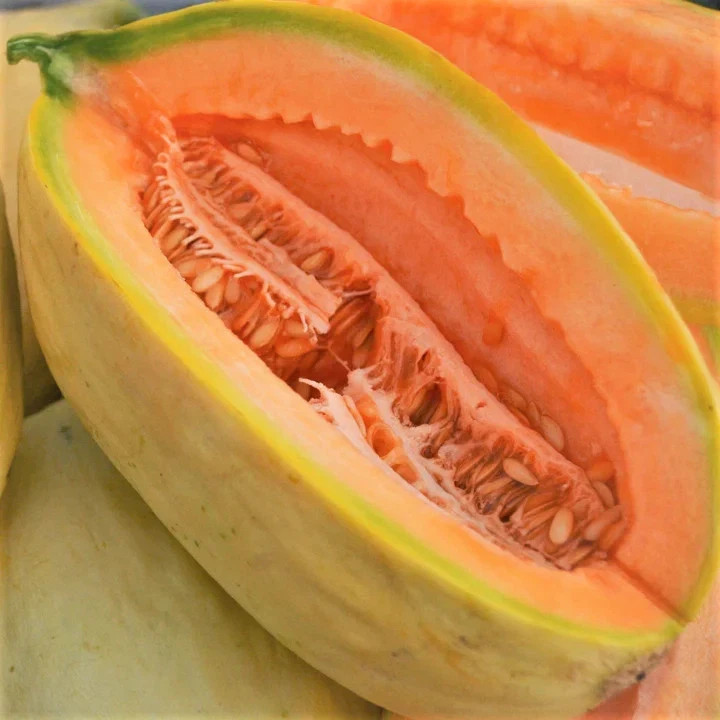 25+ Banana Melon Seeds, Banana Cantaloupe, FREE SHIPPING USA Seller