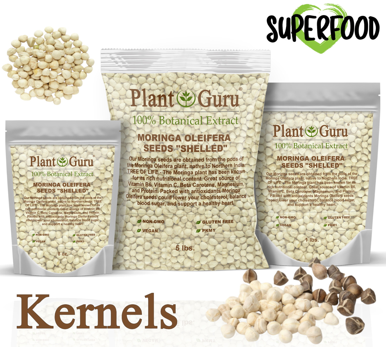 2500 Moringa Oleifera Seeds Kernel 2 lbs. Jar Bulk SHELLED Fresh