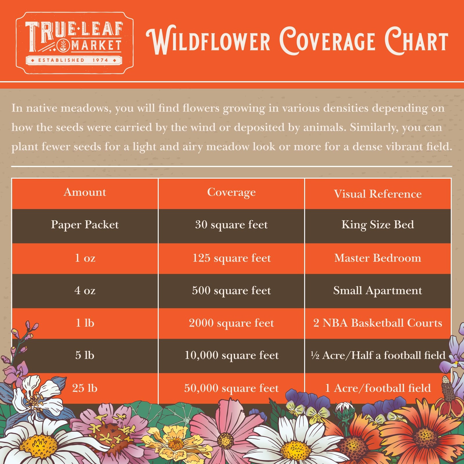 Rocky Mountain Wildflower Seed Mix 1 Lb Easy Grow Perennial And Annual Seeds