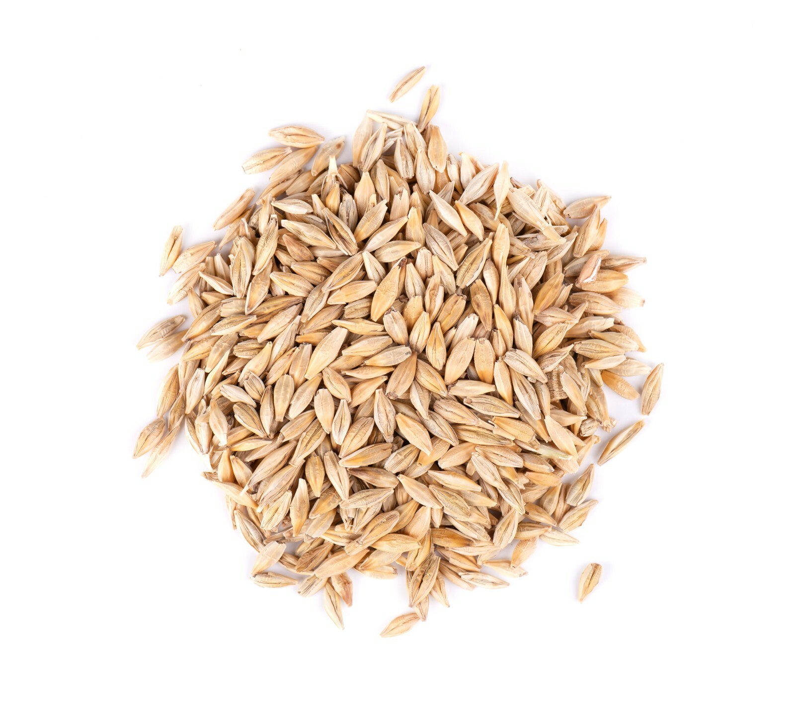 Thunder Acres Barley Seed – Certified Organic – Non-GMO