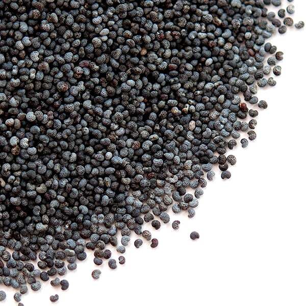 Poppy Seeds, Blue | Bulk | Spice Jungle