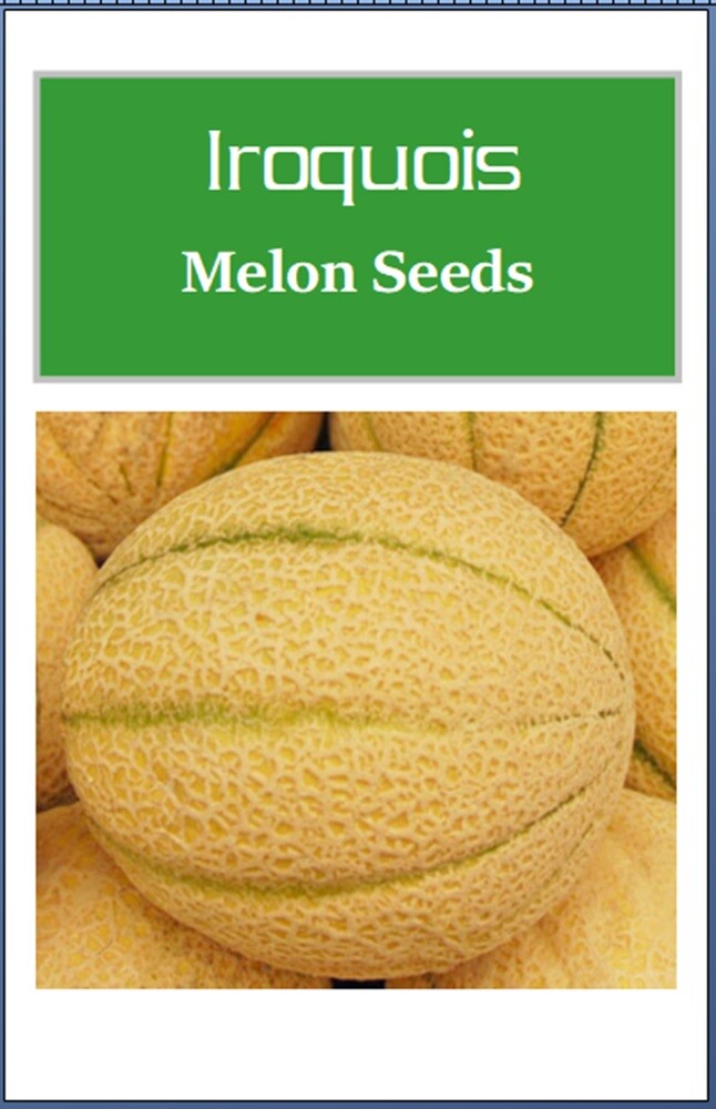 Iroquois Melon Seeds | NON-GMO | Heirloom | Fresh Garden Seeds