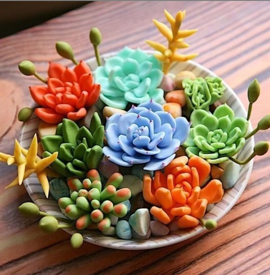 100pcs Mix Rare Succulent Seeds for Planting, DIY Bonsai Ornamental Plant