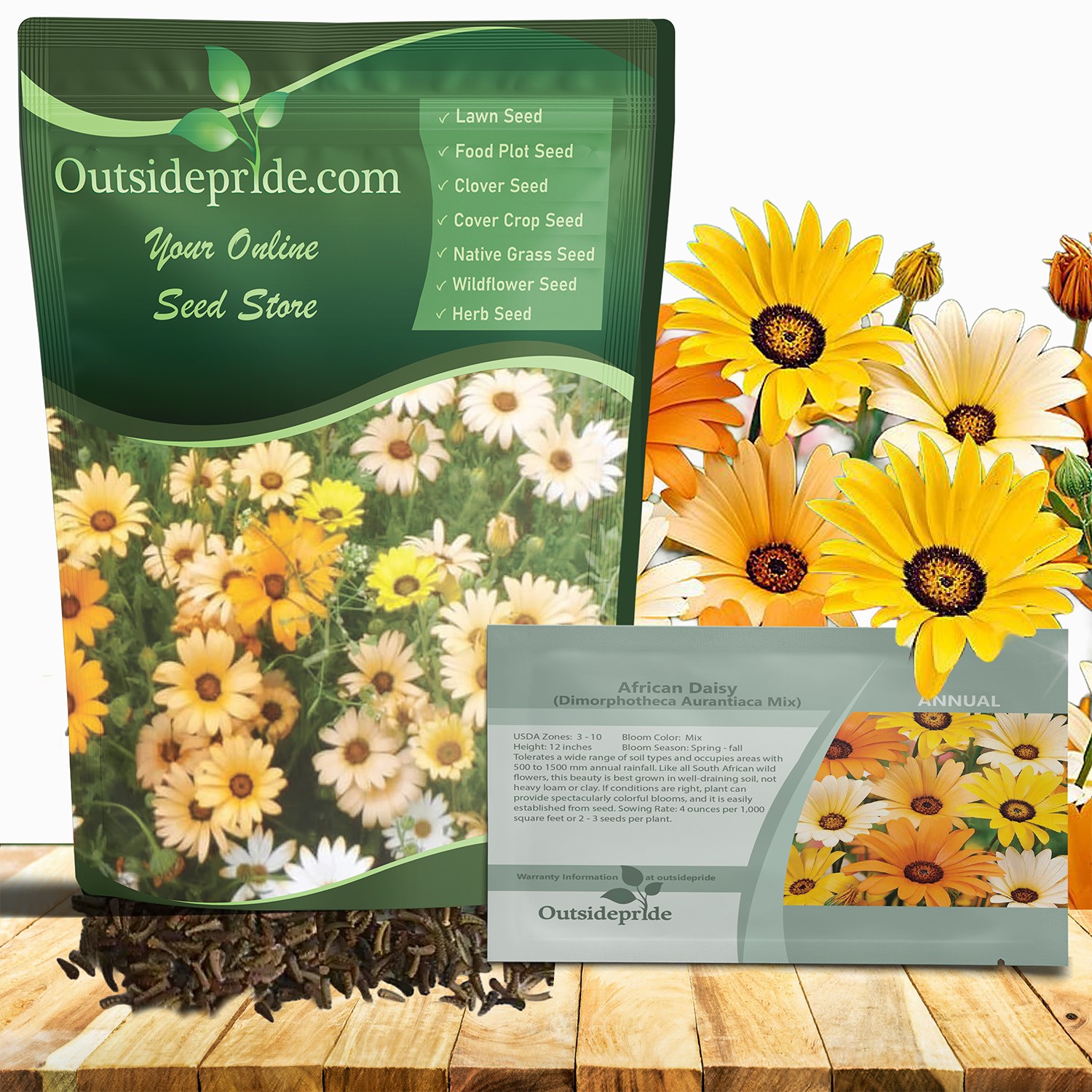 1 LB African Daisy Seed Mix For Planting – Wild Flower Seeds For Xeriscape