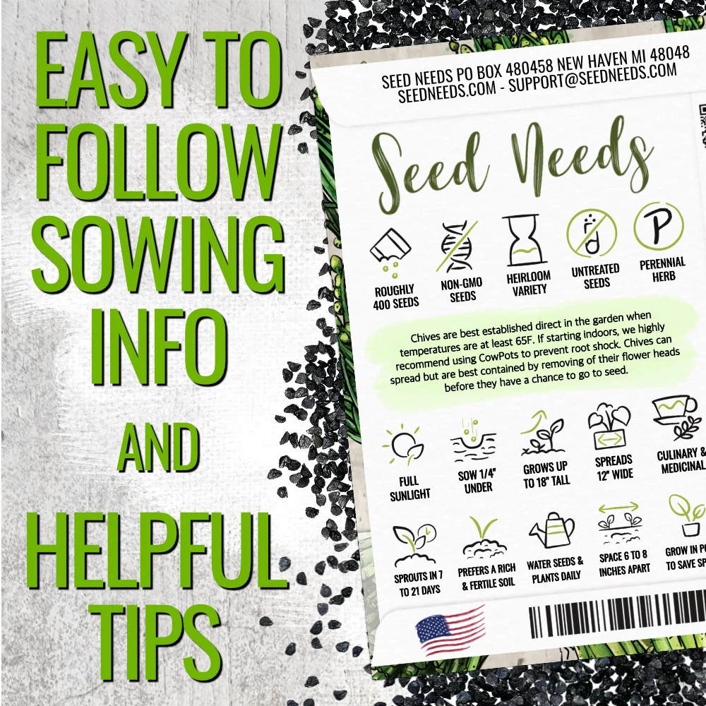 Garlic Chives Herb Seeds For Planting (Allium tuberosum)