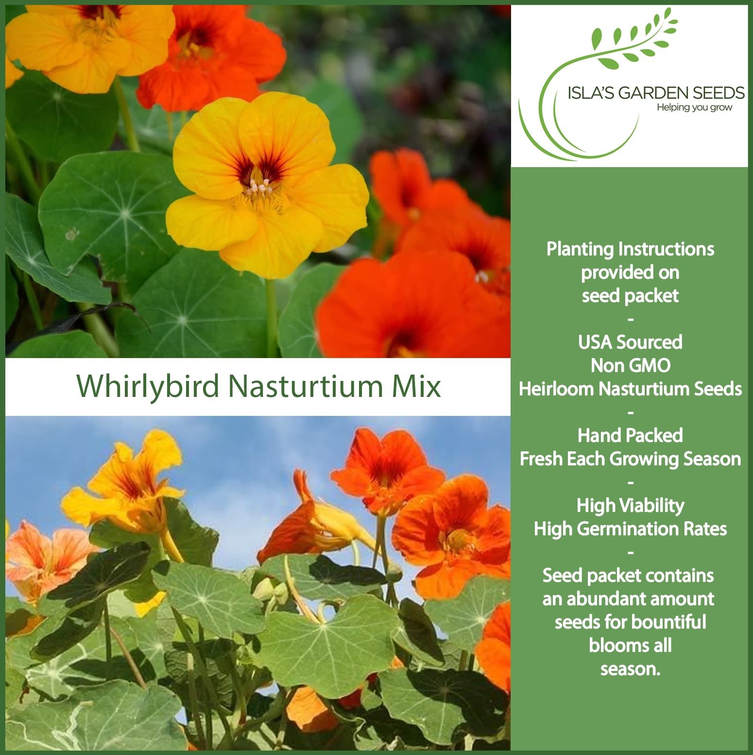 Mix Nasturtium Seeds (Tropaeolum nanum) – 50+ Heirloom Non-GMO Red