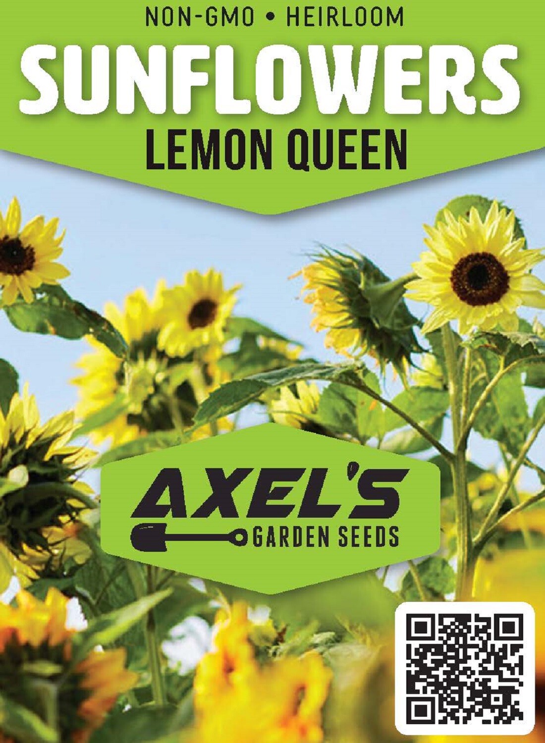 Bulk Sunflower Seeds Mix – Heirloom Non-Gmo Flower Seeds for Home Garden