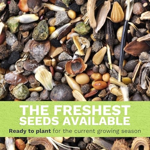 – Large 1 Ounce Packet – 15,000 Flower 1 Ounce (Pack of 1) Midwest Regional Mix