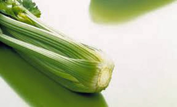 CELERY SEED, UTAH TALL, 25+ SEEDS, HEIRLOOM, NON GMO, CELERY SEEDS