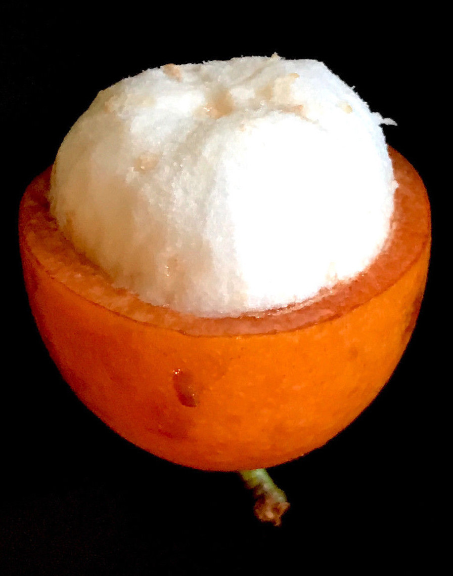 Achachairu Garcinia Humilis Orange Bolivian Mangosteen Tropical Fruit Tree Plant