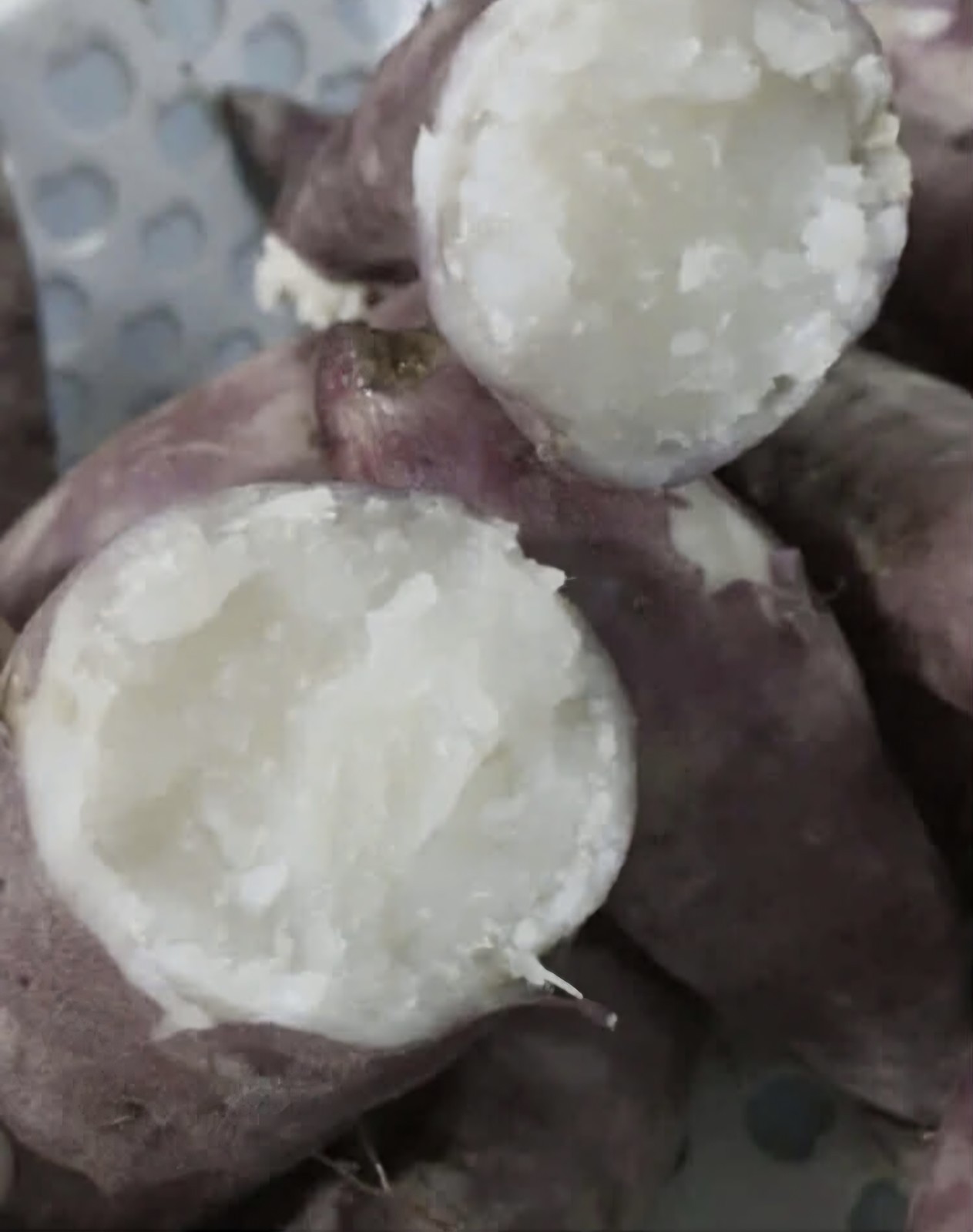 10 Red Skin White Slips Vietnam Sweet Potato-Cuttings-Khoai Lang Đỏ-Have Roots