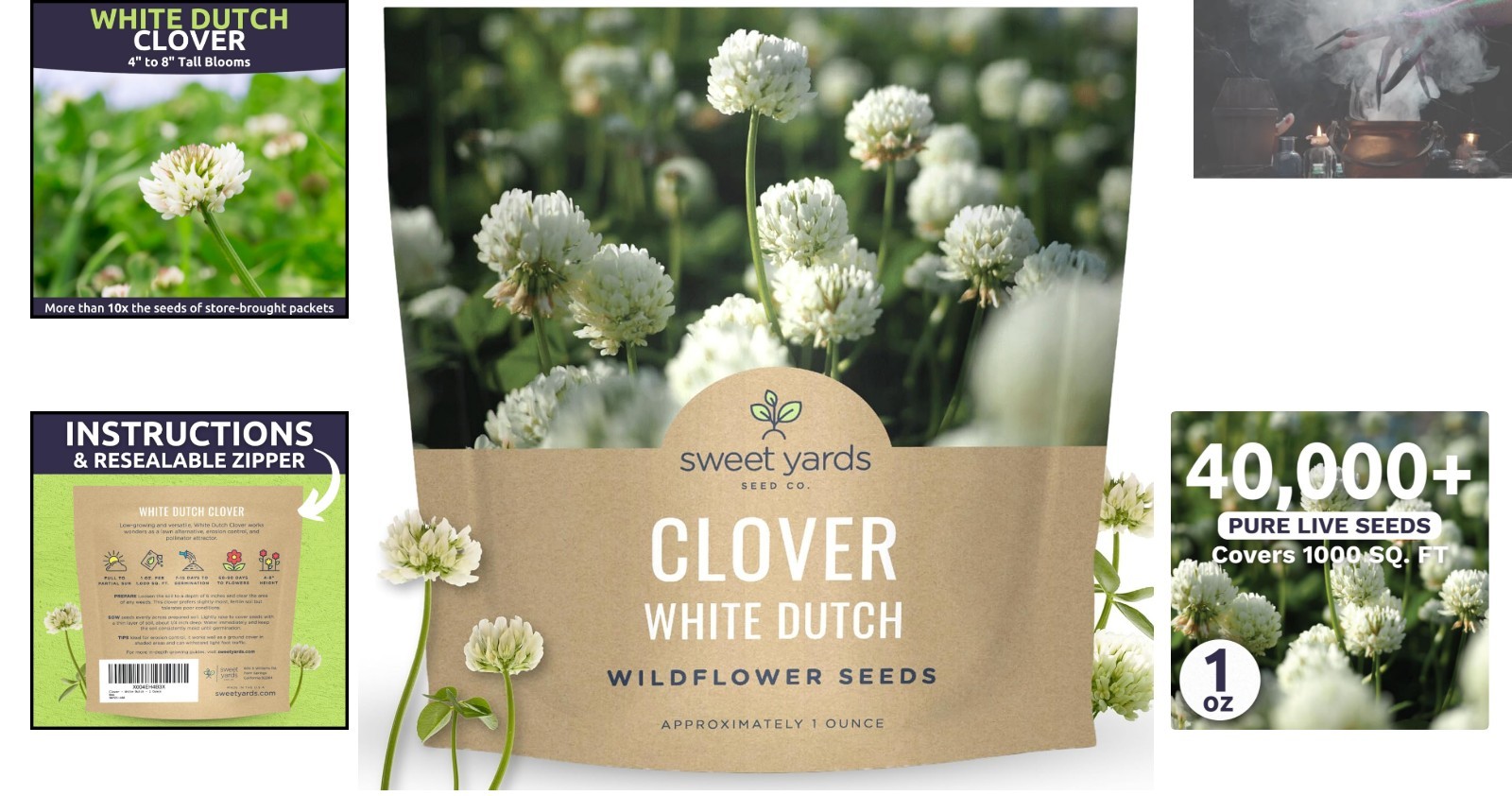 White Dutch Clover Seeds – Large 1 Ounce for Vibrant Gardens (40,000 Seeds)