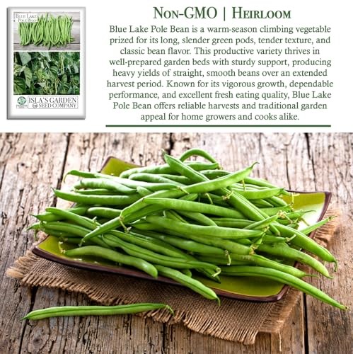 Blue Lake Pole Bean Seeds (Phaseolus vulgaris) – 50+ Heirloom Green Bean Seeds