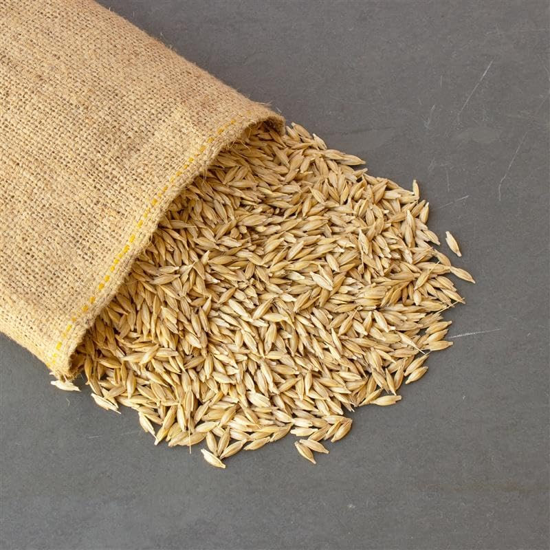 Unhulled Organic Einkorn Grain Seeds – Ancient Heirloom Wheat for Planting, Spro