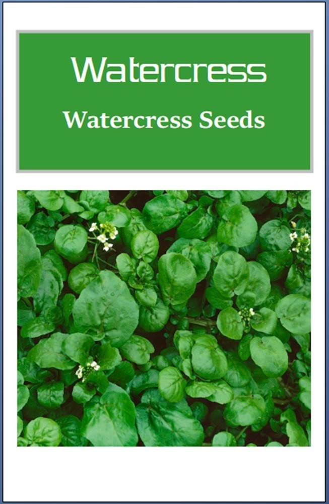 Watercress Cress Seeds | NON-GMO | Heirloom | Fresh Garden Seeds
