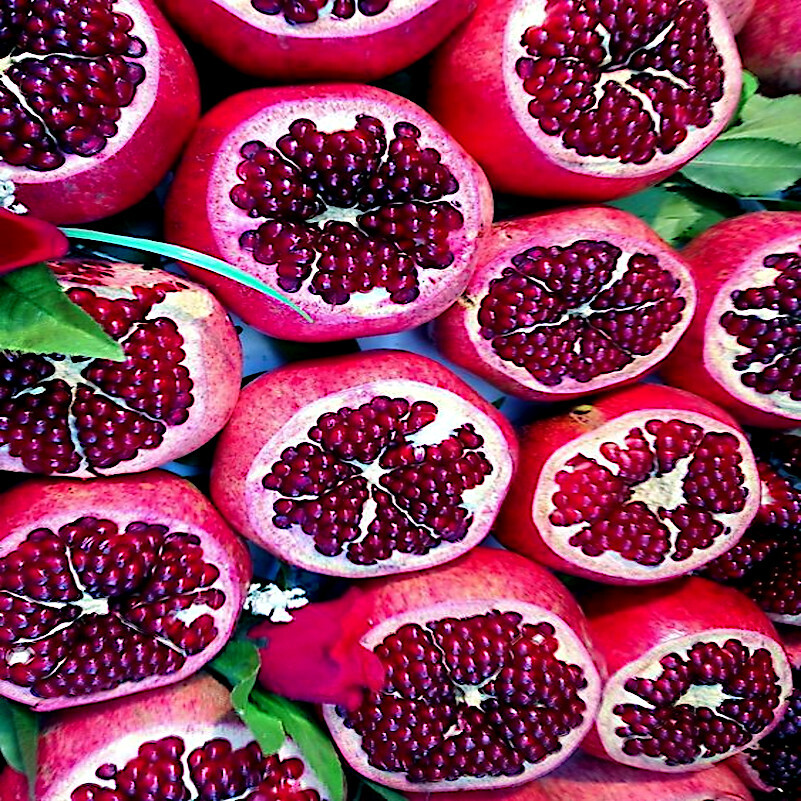 20 DWARF Pomegranate Tree Seeds (Punica granatum) Nana Garden Fruit House Plant