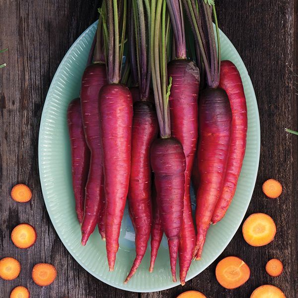 Purple Dragon Carrot 100 – 1,000 Seeds Beautiful color RARE Heirloom Lycopene!