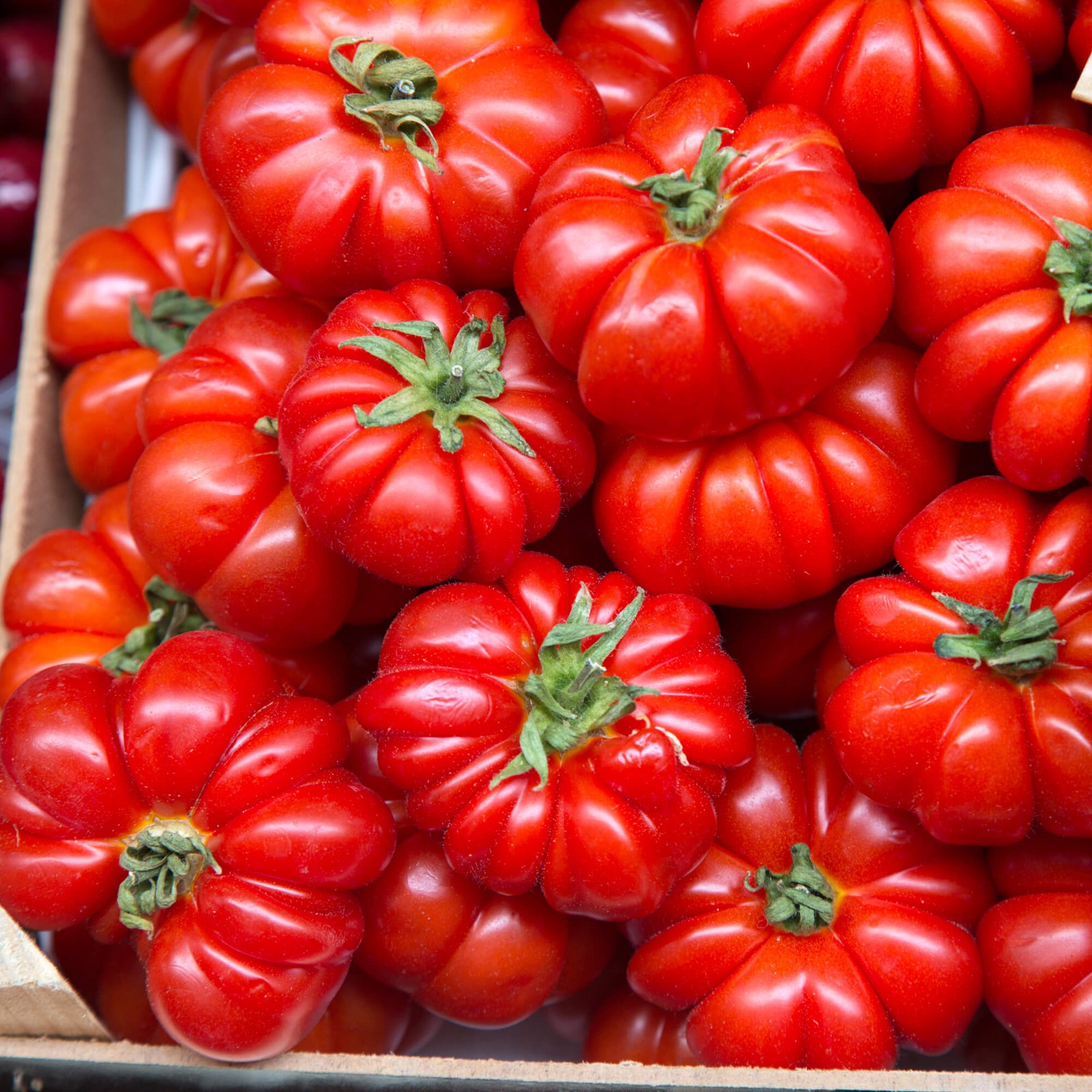 Rosso Sicilian Tomato Seeds | Heirloom / Non-GMO | Free Shipping | 1298