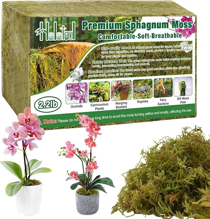 Sphagnum Moss for Plants 2.2LB 50QT Green Natural Long Fiber for Orchid