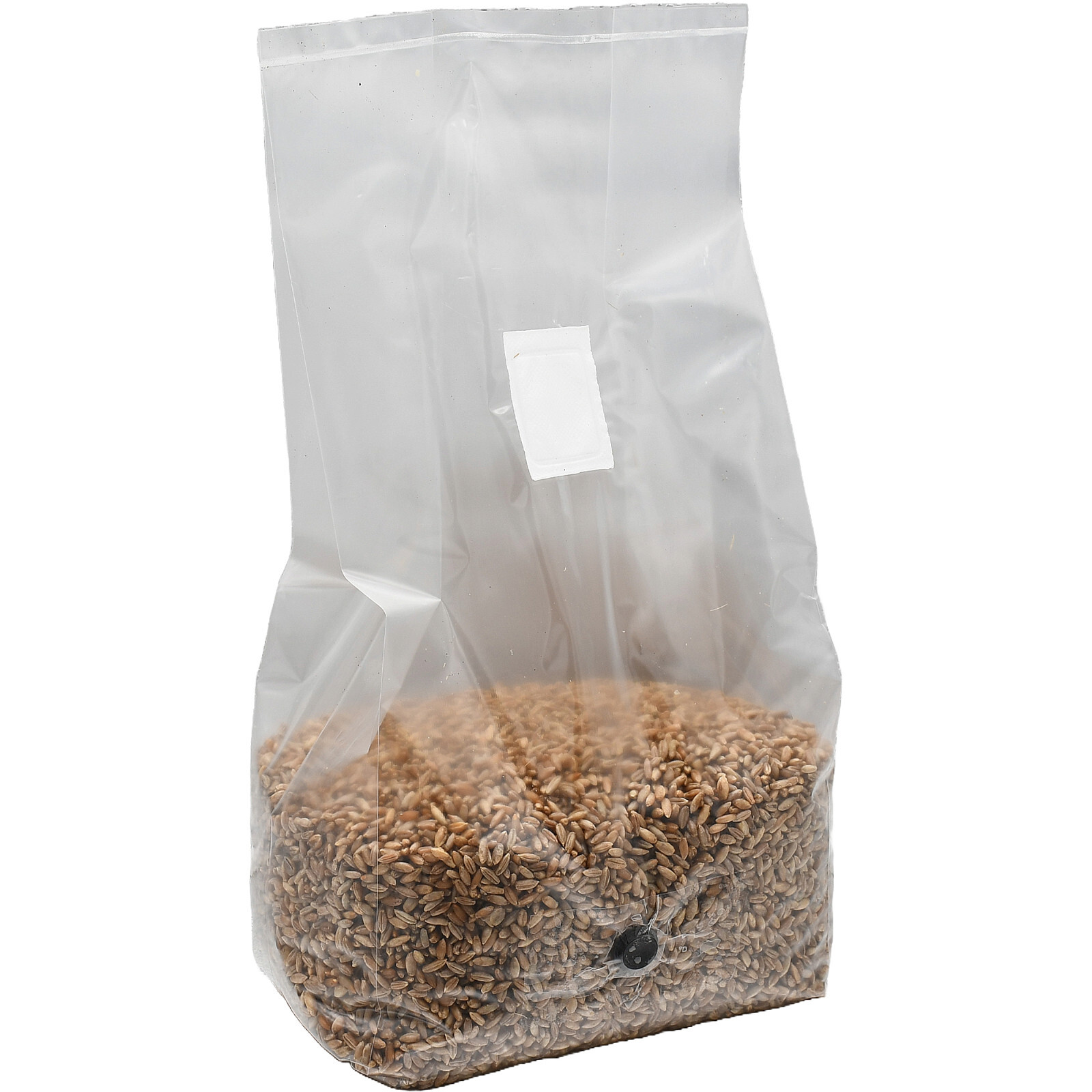 Sterilized Rye Berry Grow Bag (25lbs)