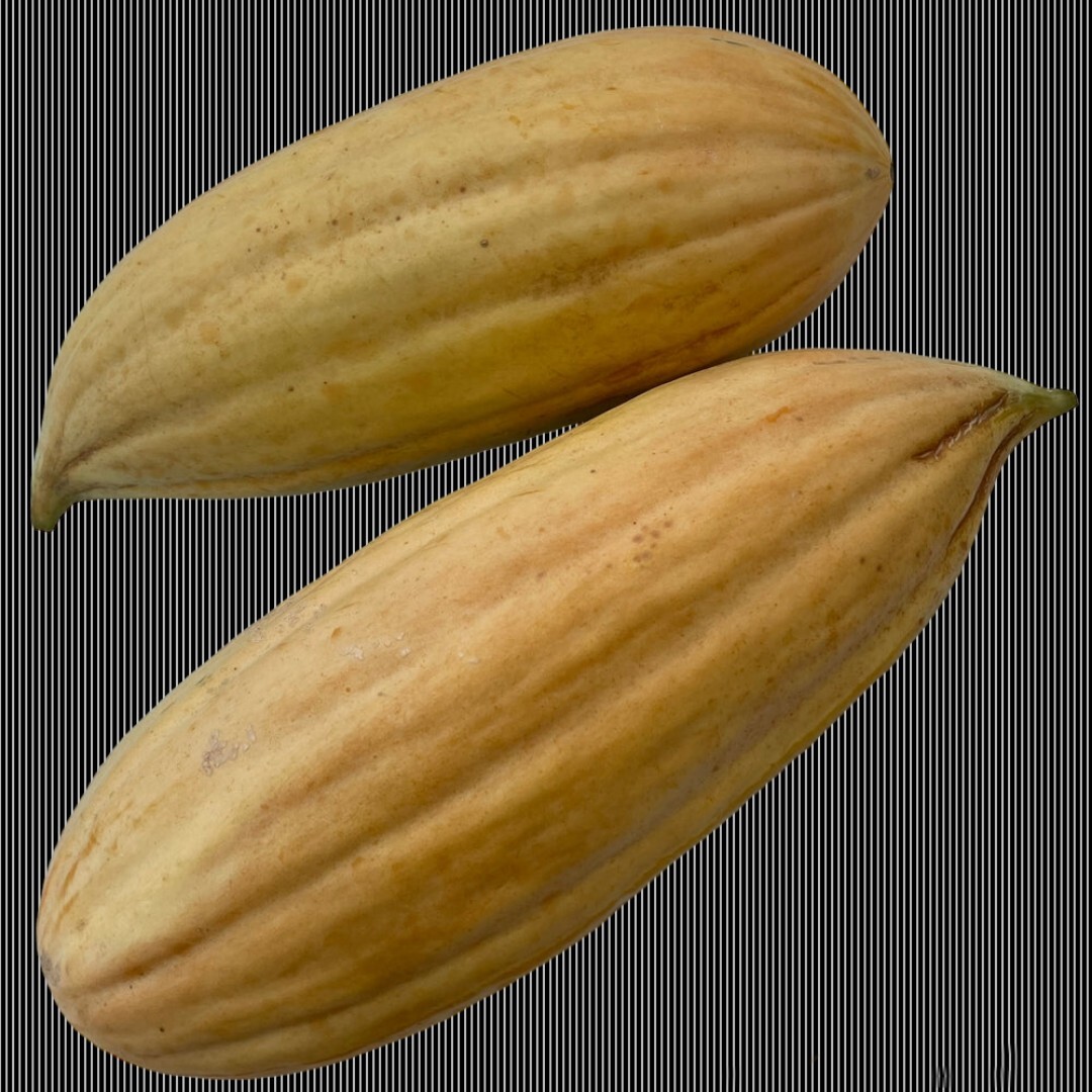 25+ Banana Melon Seeds | NON-GMO | Heirloom | Fresh | CANTALOUPE | MUSKMELON