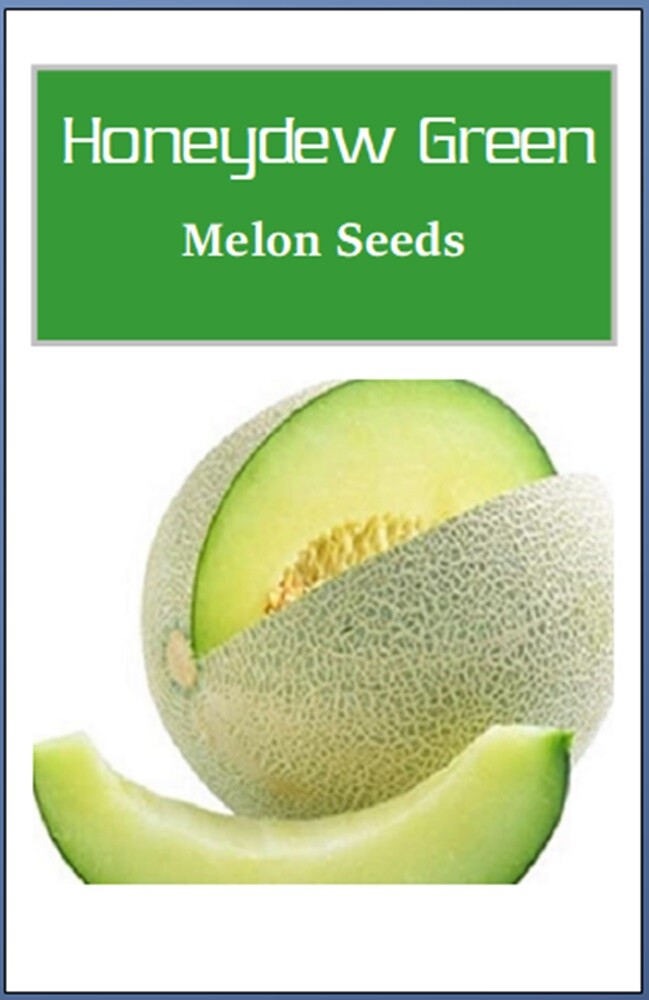 Honeydew Green Melon Seeds | NON-GMO | Heirloom | Fresh Garden Seeds